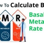 BMR Calculator Basal Metabolic Rate Calculator