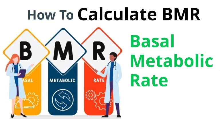 BMR Calculator Basal Metabolic Rate Calculator