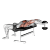 Chest And Tricep Dumbbell Workout