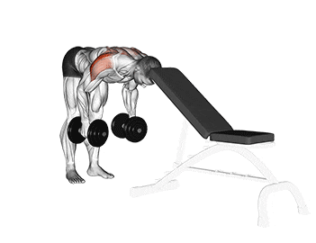 Head-supported Bent Over Reverse Dumbbell Fly
