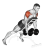 Reverse Dumbbell Fly: Muscle Worked, Benefits and Variations