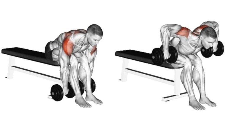 Seated Bent-Over Rear Delt Rows