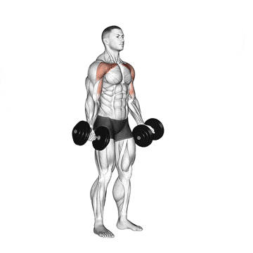Standing Low To High Dumbbell Chest Fly