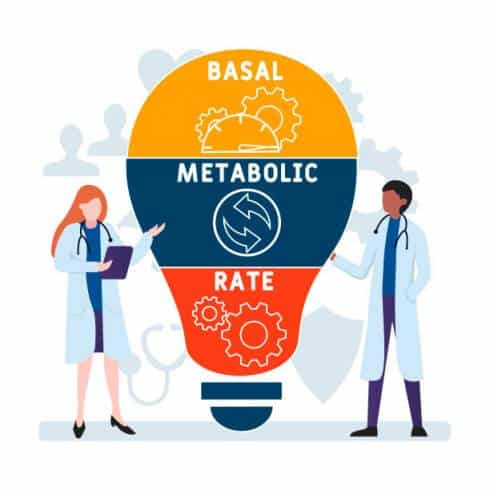 What Is Basal Metabolic Rate (BMR).