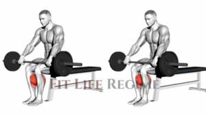 The Seated Calf Raise: A Step-by-Step Guide