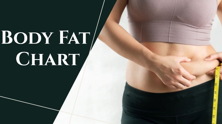 Body Fat Percentage Chart For Men and Woman