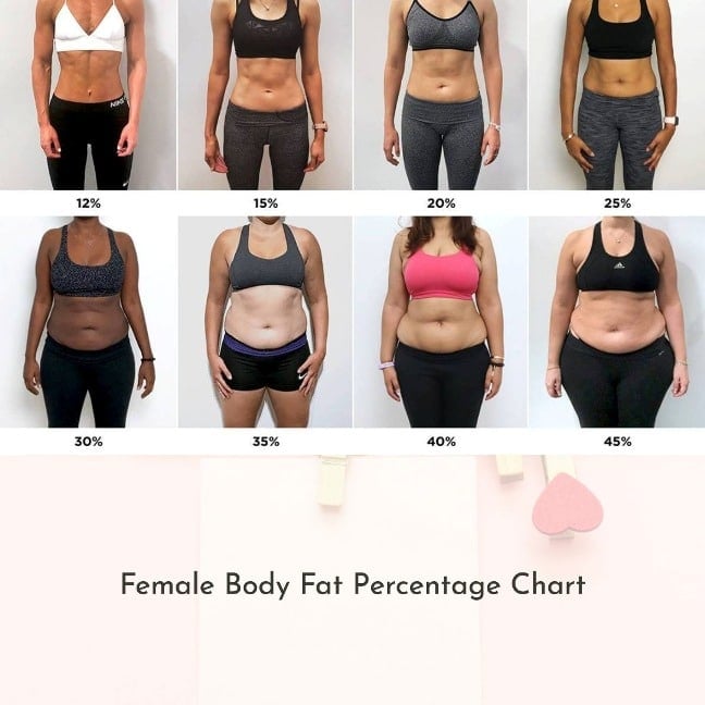 Female Body Fat Percentage Chart