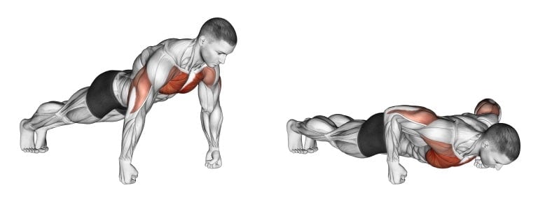 Knuckle Push Up