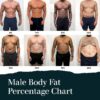 The Visual Guide to Understanding Body Fat Percentage