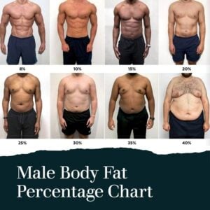 The Visual Guide To Understanding Body Fat Percentage