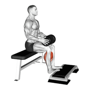 Seated Dumbbell Calf Raise: How To Do and Tips