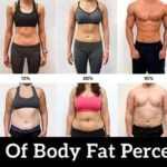 Visual of Body Fat Percentage