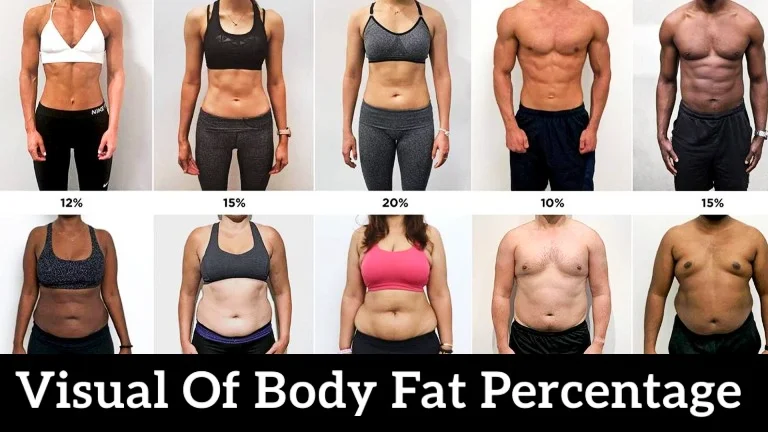 Check Your Body Fat Percentage Online Body Fat Percentage 56 OFF