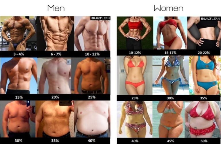 Body Fat Calculator Know Your Body Fat Percentage 0980