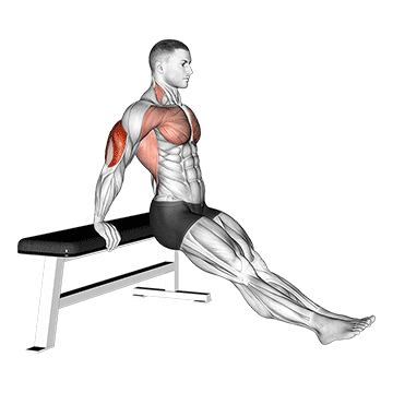 Bench Dip With Straight Legs