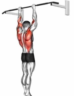 25 Best Forearm Exercises for Mass and Strength