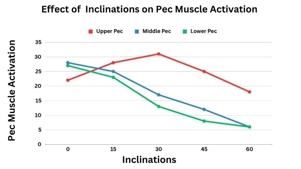 Effect of Inclinations on Lower Pec Muscle Activation