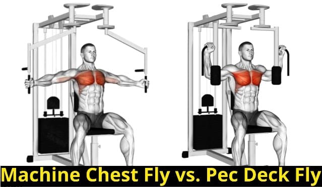 Machine Chest Fly vs. Pec Deck Fly