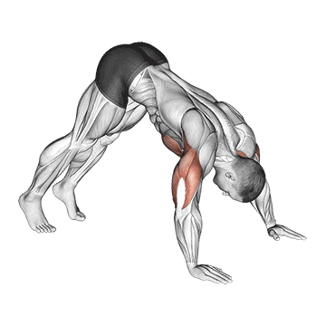 20 Best Bodyweight Exercises You Can Do Anywhere