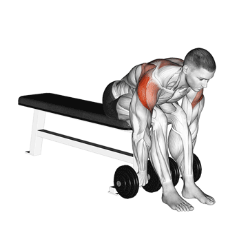 Seated Bent-Over Rear Delt Rows