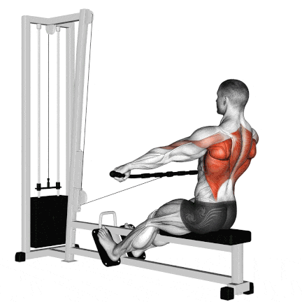 10 Best Lower Back Machine Exercises To Strengthen Your Back 10 Best Lower Back Machine Exercises To Strengthen Your Back