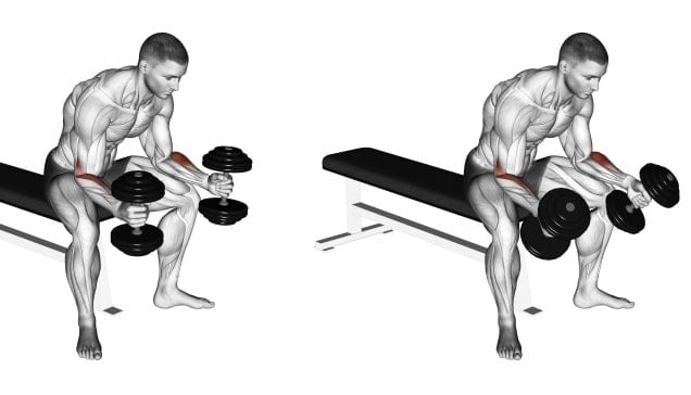 Seated Neutral Dumbbell Wrist Curl