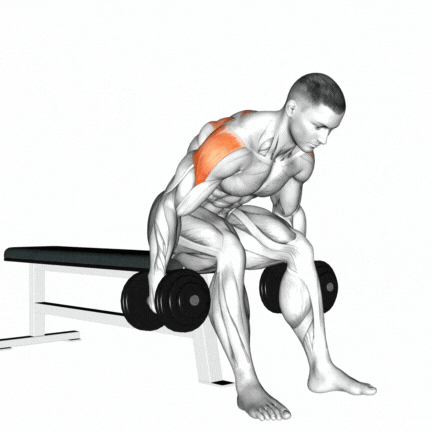 Seated Rear Delt Fly