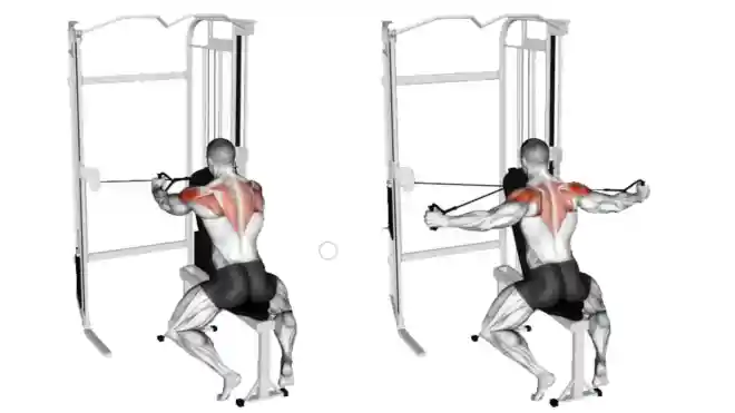 Seated Reverse Cable Fly