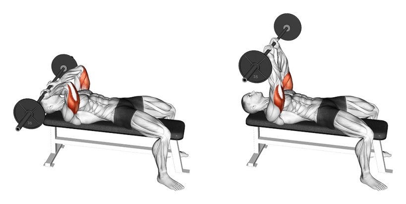 Barbell Lying Tricep Extension