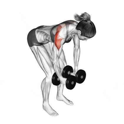 Bent Over Dumbbell Lateral Raise