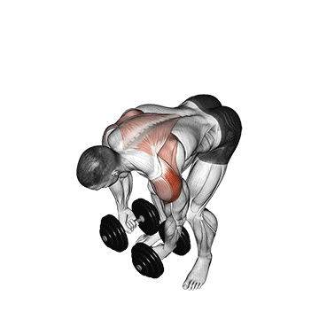 Bent Over Dumbbell Lateral Raise