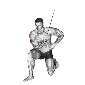 Cable Concentration Tricep Extension