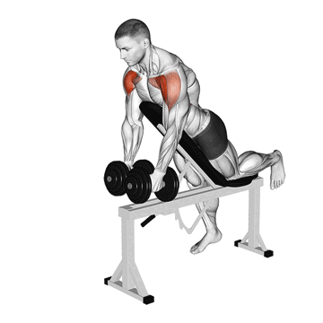Chest Supported Dumbbell Front Raise