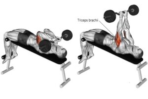 Mastering the EZ Bar Skull Crusher: A Complete Guide