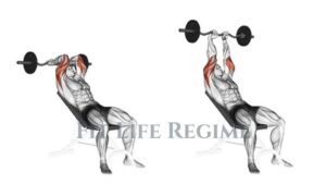 Mastering the EZ Bar Skull Crusher: A Complete Guide