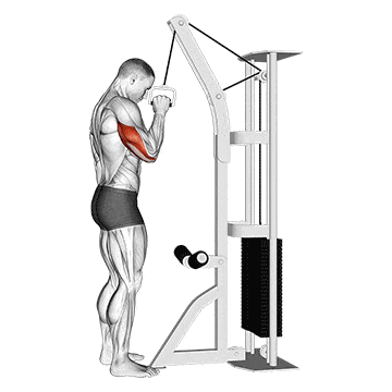 One Arm Cable Tricep Extension