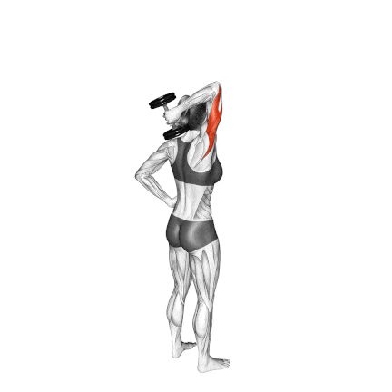 One-Arm Overhead Dumbbell Tricep Extension