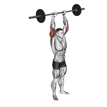 Overhead Barbell Tricep Extension