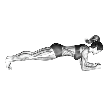 20 Best Bodyweight Exercises You Can Do Anywhere