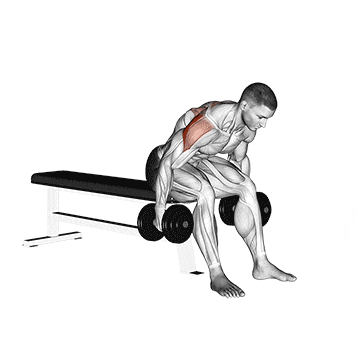 Seated Bent Over Lateral Raise