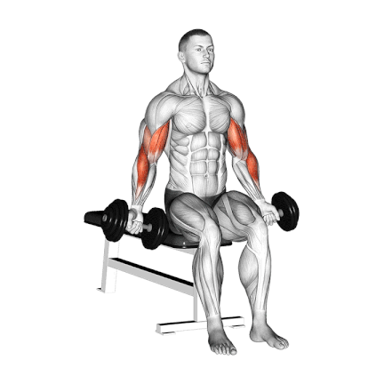 Zottman Curls Exercise Guide With Video Zottman Curls Exercise Guide With Video
