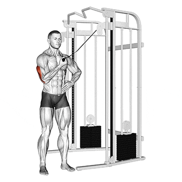 Single Arm Cross-Body Cable Tricep Extension