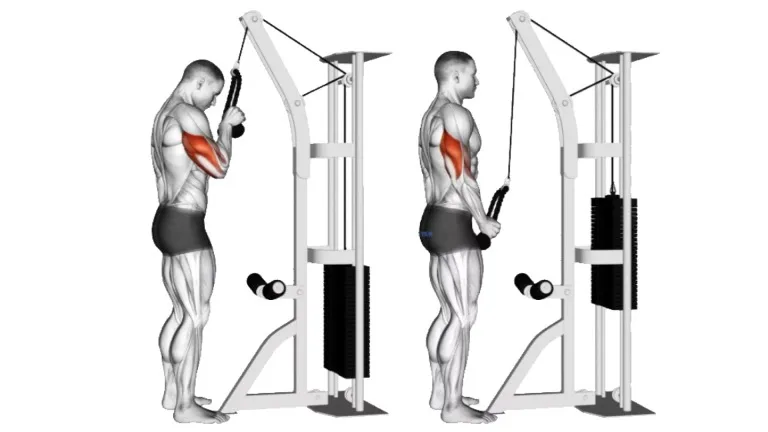 Single Arm Rope Tricep Extension