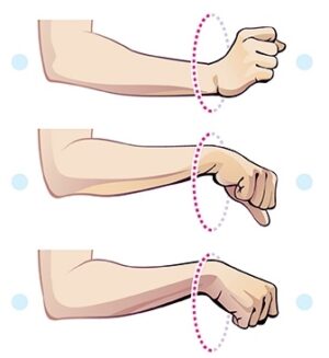 Hand Circular Rotation 25 Best Grip Strengthening Exercises (With Workout Routines)