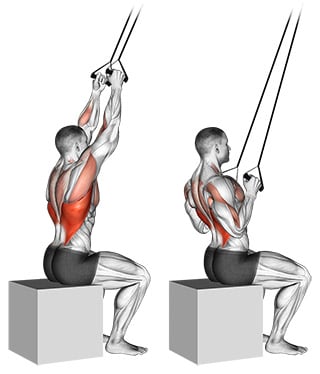 Home exercise for online lat pulldown