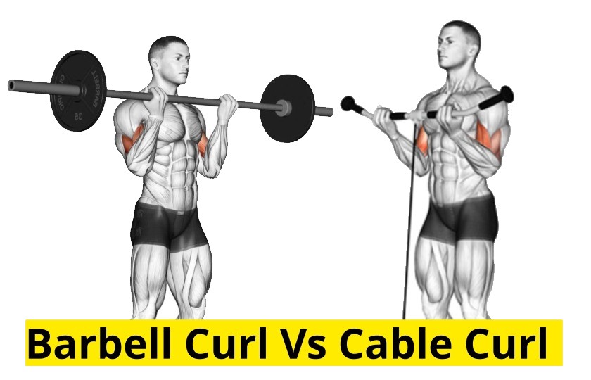 Barbell Curl Vs Cable curl
