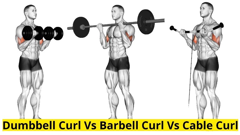 Dumbbell Curl Vs Barbell Curl Vs Cable Curl Which One Is Best