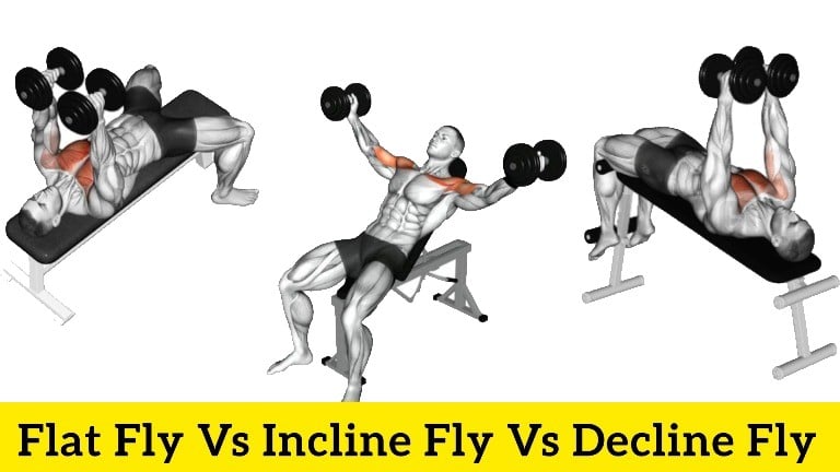 Flat Chest Fly Vs Incline Fly Vs Decline Fly