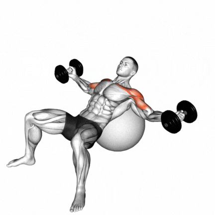 Incline Dumbbell fly On Stability Ball