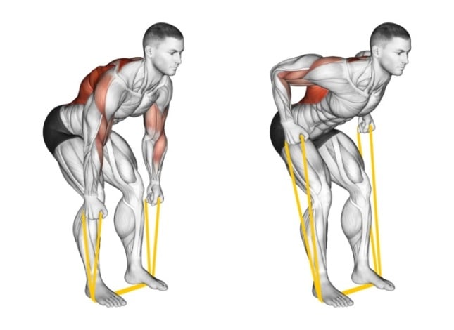 Resistance Band Bent Over Rows